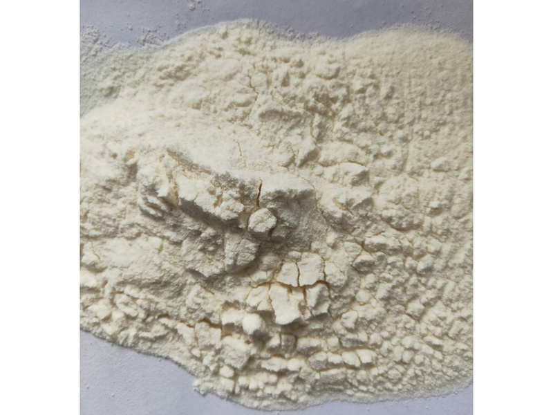 蛋白粉A 