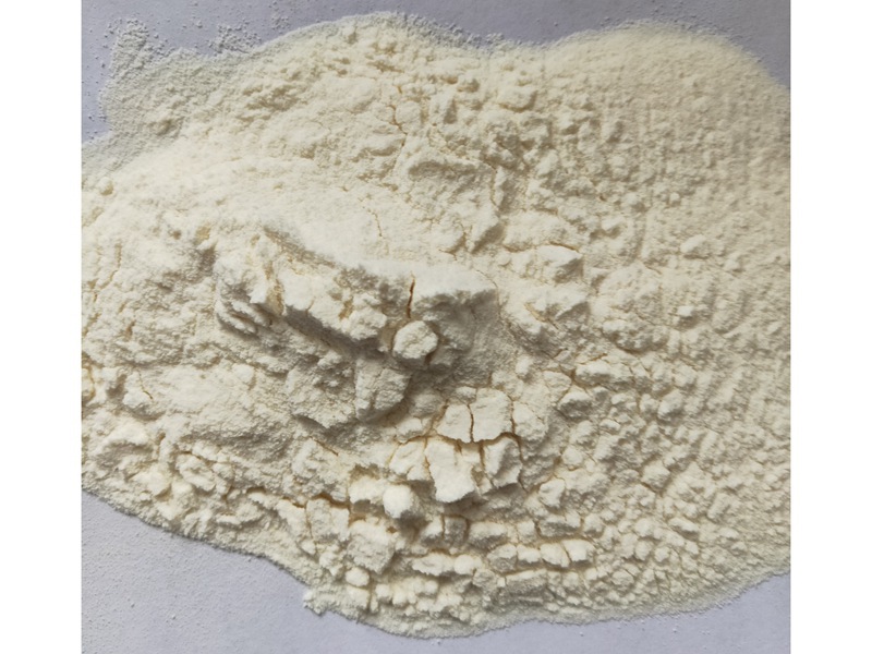 蛋白粉A
